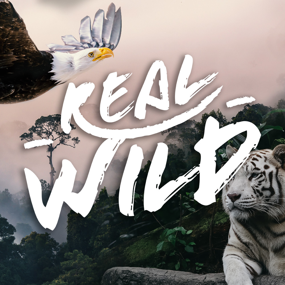 Real Wild