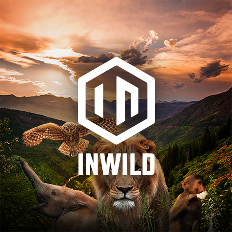 INWILD