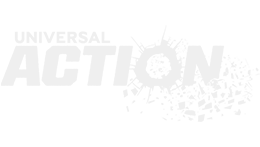 Universal Action