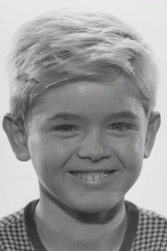 Hartmut Schwerdtfeger