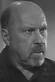 Вячеслав Бровкин