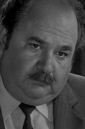 Владимир Востриков