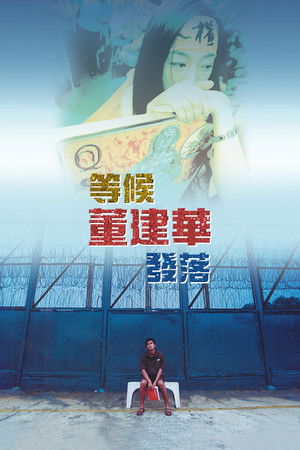 等候董建華發落