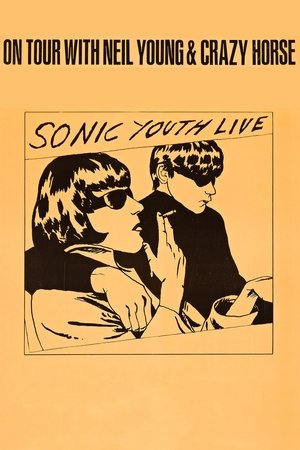 Sonic Youth: Live in 1991