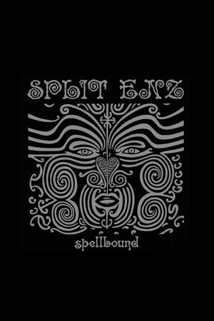 Split Enz: Spellbound