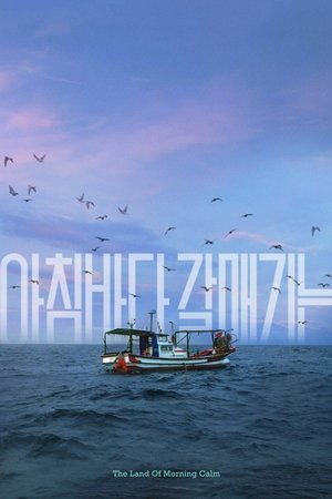 아침바다 갈매기는