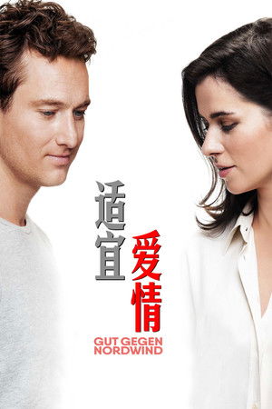 失眠的北風吹來愛情