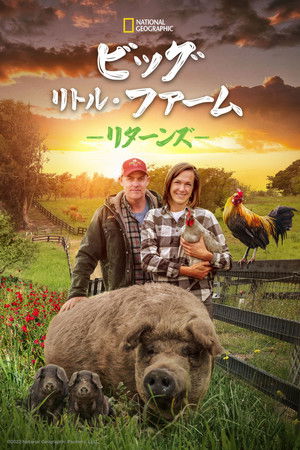 ビッグ･リトル･ファーム リターンズ