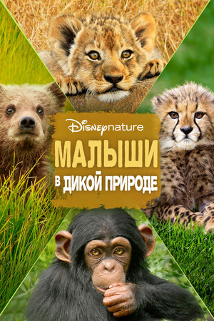 Малыши в дикой природе