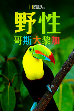 Untamed Costa Rica with Filipe DeAndrade