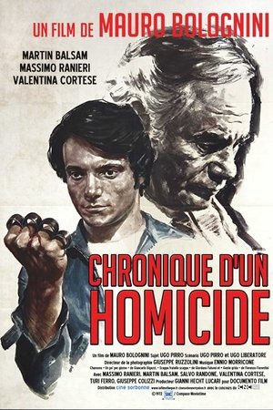 Chronique d'un homicide