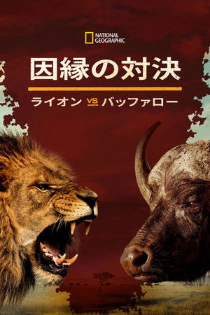 Blood Rivals: Lion vs Buffalo