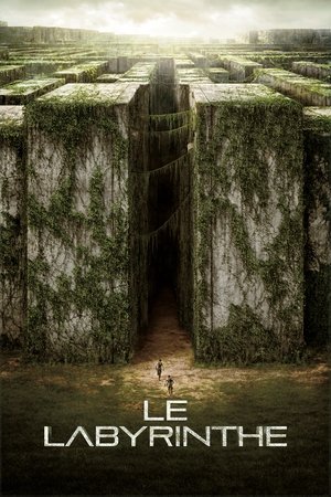Le Labyrinthe