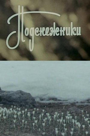 Подснежники