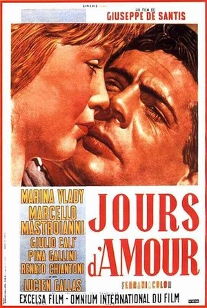 데이즈 오브 러브