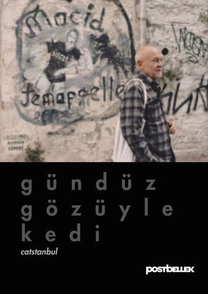Gündüz Gözüyle Kedi (Catstanbul)