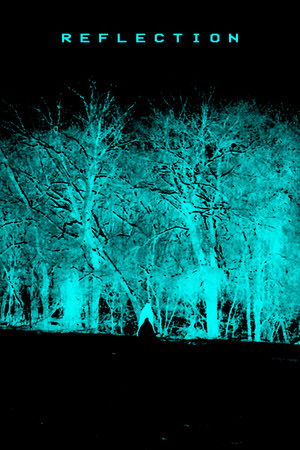 Reflection