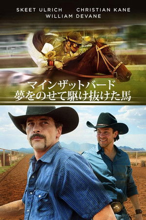 マインザットバード 夢をのせて駆け抜けた馬