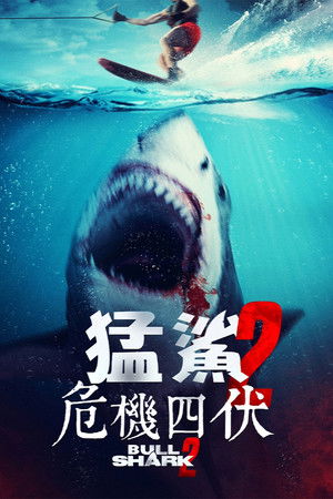 猛鯊2：危機四伏