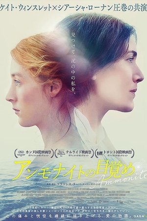 アンモナイトの目覚め