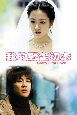 我的野蠻初戀