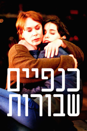 Сломанные крылья