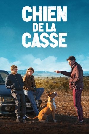 Chien de la casse