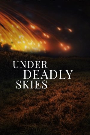 Under Deadly Skies: Ukraine's Eastern Front