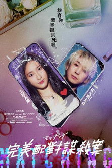 完美配對謀殺案