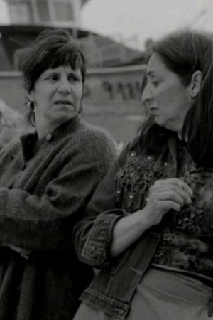 As Gaivotas Cortam o Céu