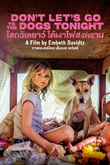 โลกวัยเยาว์ ใต้เงาไฟสงคราม