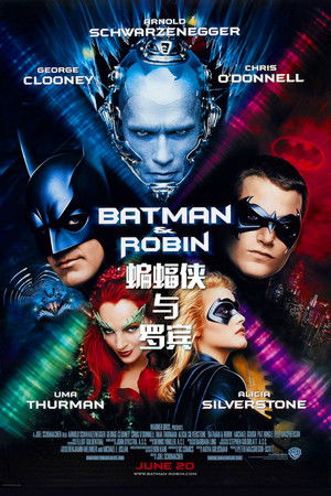蝙蝠侠与罗宾