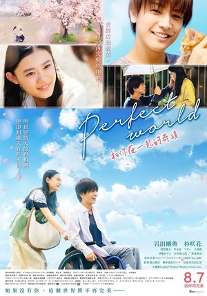 Perfect World ~和你在一起的奇蹟~