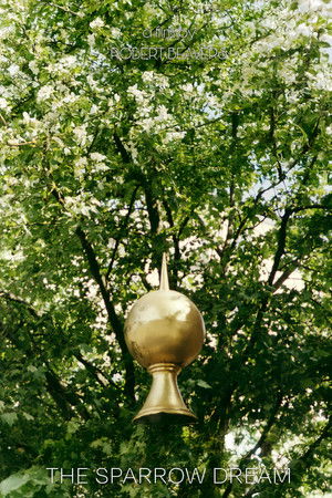 The Sparrow Dream