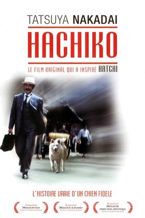 Hachiko, l'histoire vraie d'un chien fidèle