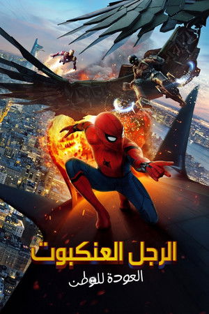 الرجل العنكبوت: العودة للوطن