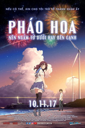 Pháo Hoa, Nên Ngắm Từ Dưới Hay Bên Cạnh?