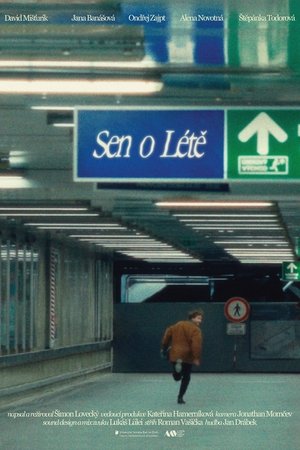 Sen o Létě