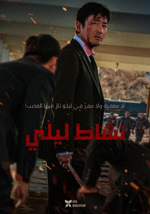 نشاط في الليل