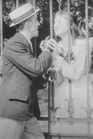 Любовь — это безумие