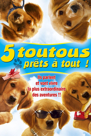 5 toutous prêts à tout