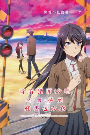 青春豬頭少年不會夢到紅書包女孩