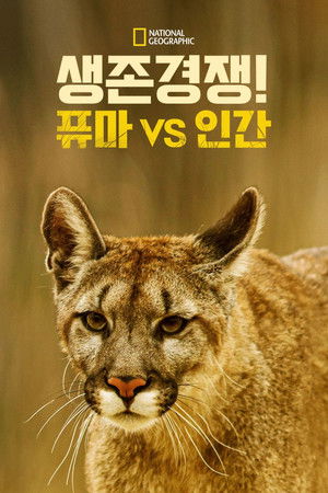 생존 경쟁! 퓨마 vs 인간