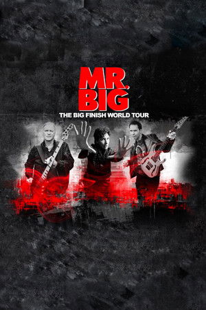 Mr. Big: The Big Finish Live