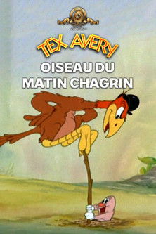 Un oiseau de mauvaise augure