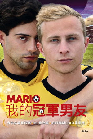 我的冠軍男友