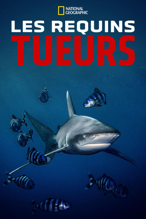 World's Most Dangerous Shark?