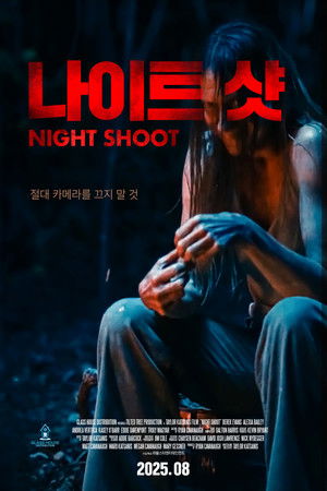 나이트 샷