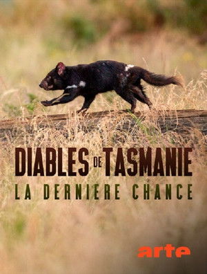 Diables de Tasmanie, la dernière chance