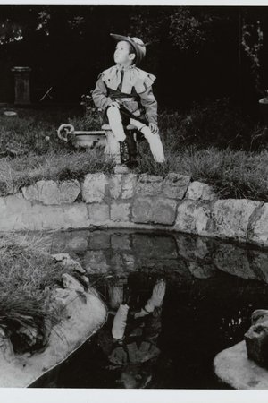 Zwervers in het land der dromen